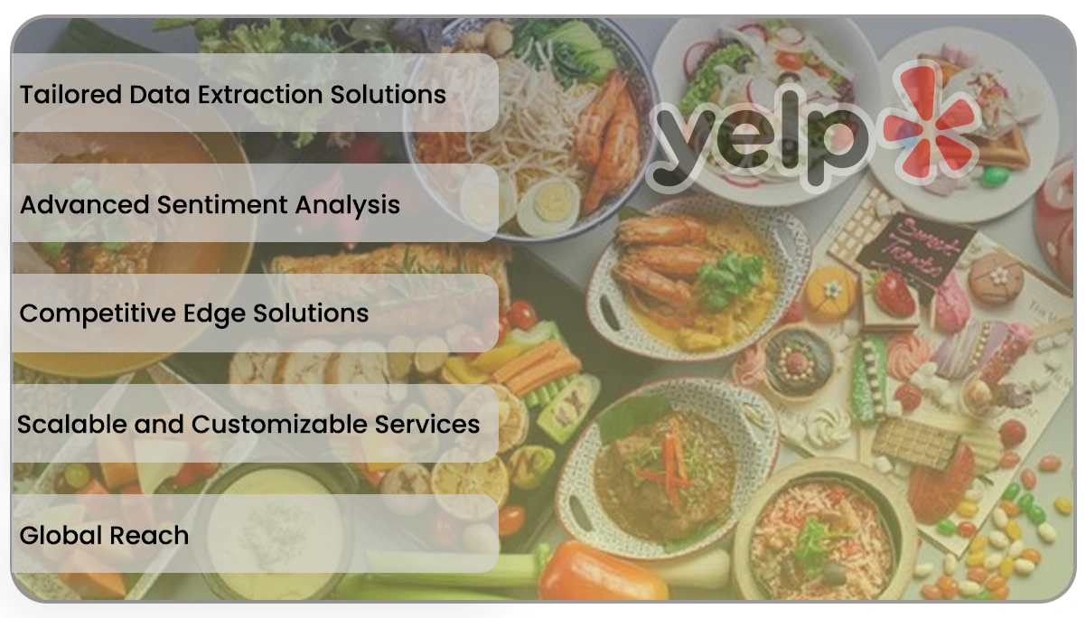 How Datazivot Can Help